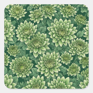 Chrysanthemum grüne Blume Quadratischer Aufkleber