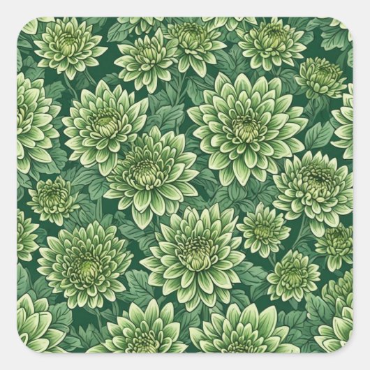 Chrysanthemum grüne Blume Quadratischer Aufkleber (Vorderseite)
