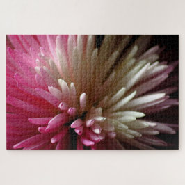 Chrysanthemum in Rosa und Weiß Puzzle