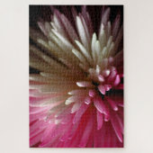 Chrysanthemum in Rosa und Weiß Puzzle (Vertikal)
