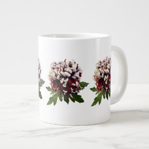Chrysanthemum Lili Gallon Jumbo-Tasse