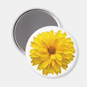 Chrysanthemum Magnet (Vorderseite/Rückseite)