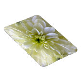 CHRYSANTHEMUM MAGNET (Rechte Seite)