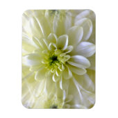 CHRYSANTHEMUM MAGNET (Vertikal)