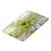 CHRYSANTHEMUM MAGNET (Linke Seite)