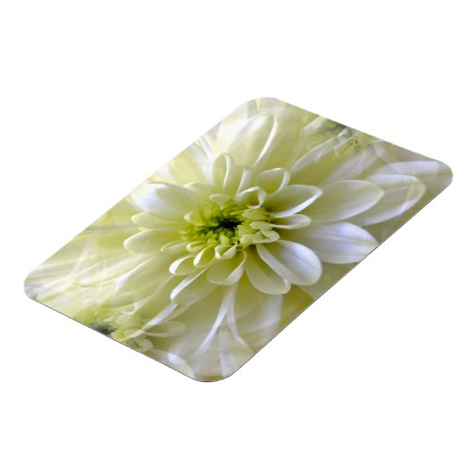 CHRYSANTHEMUM MAGNET (Linke Seite)