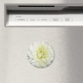 Chrysanthemum Magnet (In Situ (Geschirrspüler))
