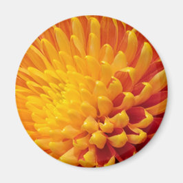 Chrysanthemum Magnet