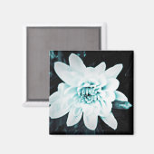 Chrysanthemum Magnet (Vorderseite/Rückseite)