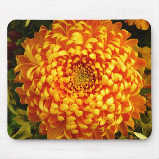 CHRYSANTHEMUM ~ Mousepad (Vorne)