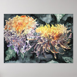 Chrysanthemum mum shasta daisa art print poster