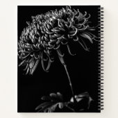 Chrysanthemum Notizblock (Rückseite)