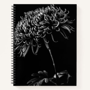 Chrysanthemum Notizblock