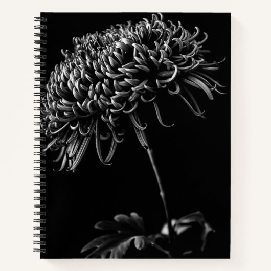 Chrysanthemum Notizblock (Vorderseite)