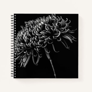 Chrysanthemum Notizblock
