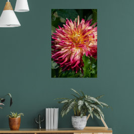 Chrysanthemum Orange Canadian Flower Fotografy Poster