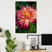 Chrysanthemum Orange Canadian Flower Fotografy Poster (Heimbüro)