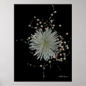 Chrysanthemum & Pearls Poster (Vorne)