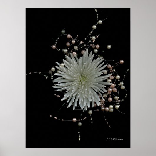 Chrysanthemum & Pearls Poster (Vorne)