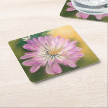 Chrysanthemum Pink und Cream Floral Pastel