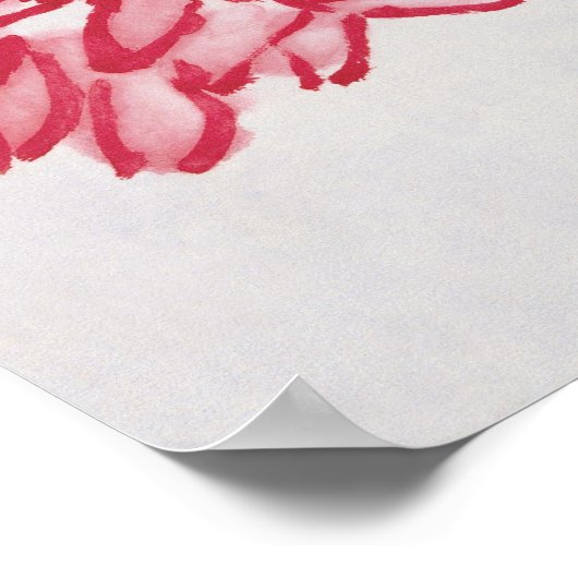 Chrysanthemum Poster (Ecke)