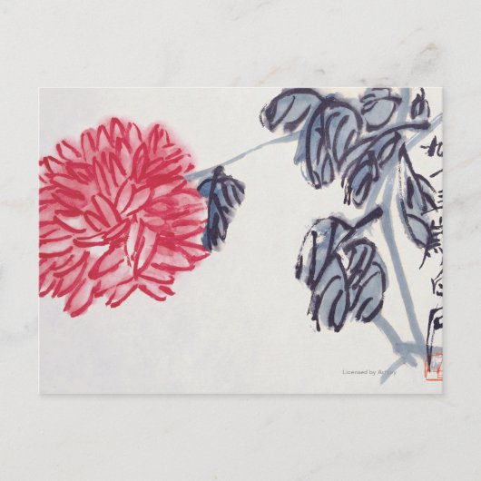 Chrysanthemum Postkarte (Vorderseite)