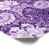 Chrysanthemum Purple Poster (Ecke)