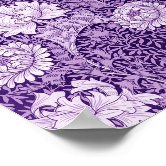 Chrysanthemum Purple Poster (Ecke)