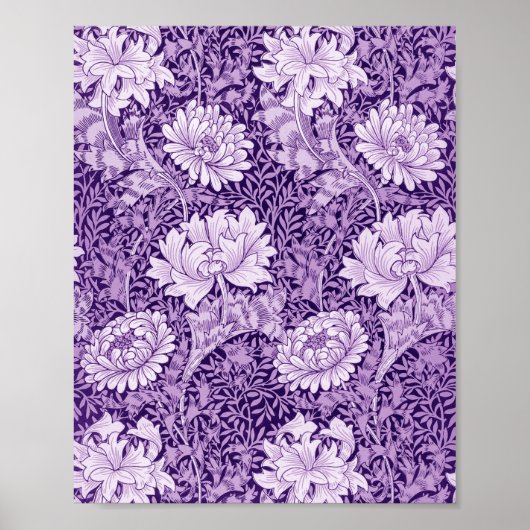 Chrysanthemum Purple Poster (Vorne)