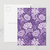 Chrysanthemum Purple Postkarte (Vorne/Hinten)