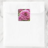 Chrysanthemum Quadratischer Aufkleber (Tasche)