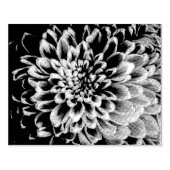 Chrysanthemum Rubber-Briefmarke Gummistempel (Prägung)