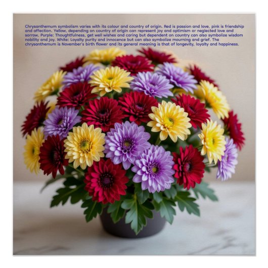 Chrysanthemum Symbolism Poster (Vorderseite)
