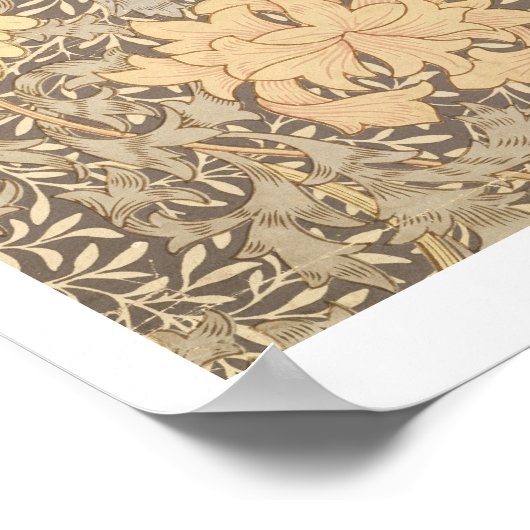 "Chrysanthemum" Tapete, 1876 Poster (Ecke)