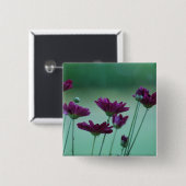 Chrysanthemum und Bedeutung Button (Vorne & Hinten)