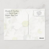 Chrysanthemum Vielen Dank Postkarte (Rückseite)