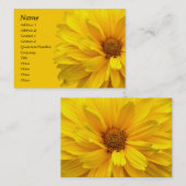 Chrysanthemum Visitenkarte (Vorne/Hinten)