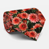 ChrysanthemumBlume Krawatte (Gerollt)