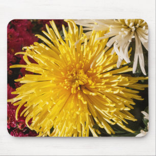 ChrysanthemumBlume Mousepad