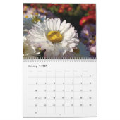 "chrysanthemums" Blumenkalender Feng Shui Kalender (Jan 2027)