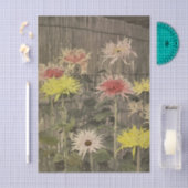 Chrysanthemums by Ogawa Kazumasa Seidenpapier (Handwerk)