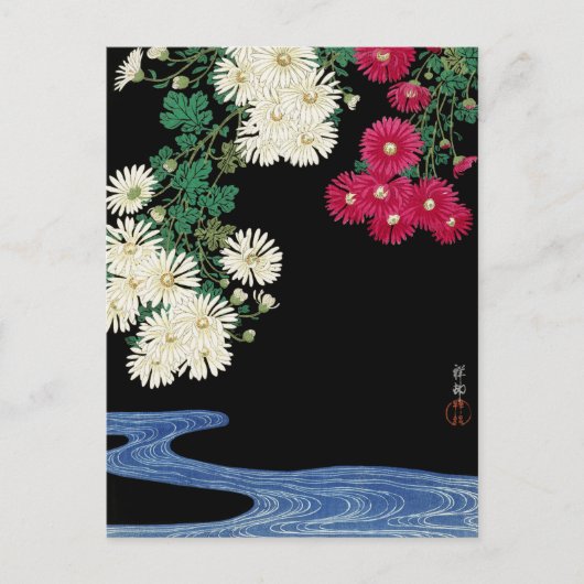 Chrysanthemums - Ohara Koson - Vintage japanische Postkarte (Vorderseite)
