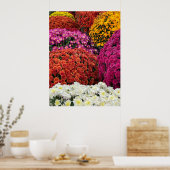 Chrysanthemums Poster (Küche)