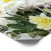 Chrysanthemums Poster (Ecke)