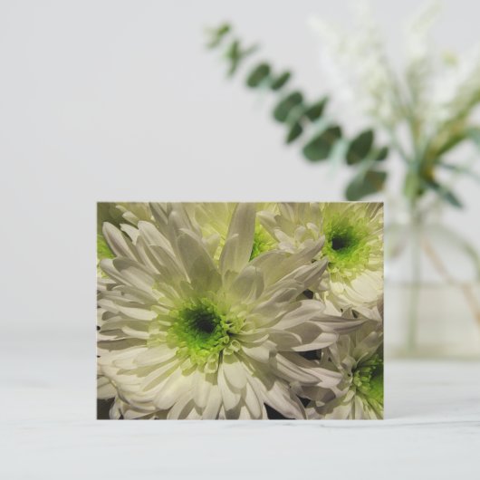 Chrysanthemums Postkarte (Stehend Vorderseite)