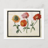 Chrysanthemums Postkarte (Vorderseite)