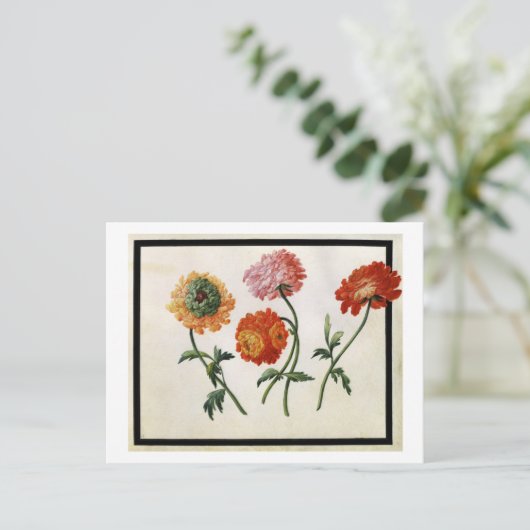 Chrysanthemums Postkarte (Stehend Vorderseite)