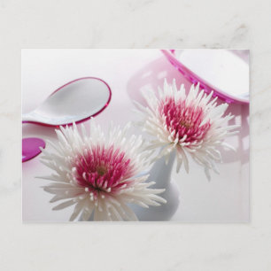 Chrysanthemums Postkarte