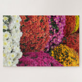 Chrysanthemums Puzzle (Horizontal)