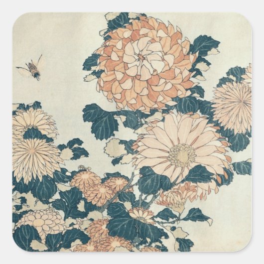Chrysanthemums Quadratischer Aufkleber (Vorderseite)